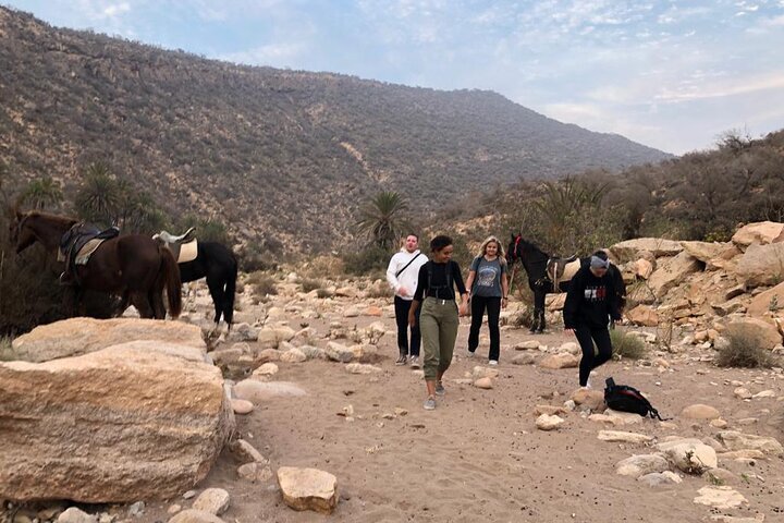 2024 Full Day Horseback Riding Experience With Lunch   Caption 