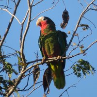 PENÍNSULA DE ZAPATA NATIONAL PARK (Cuba) - All You Need to Know BEFORE ...