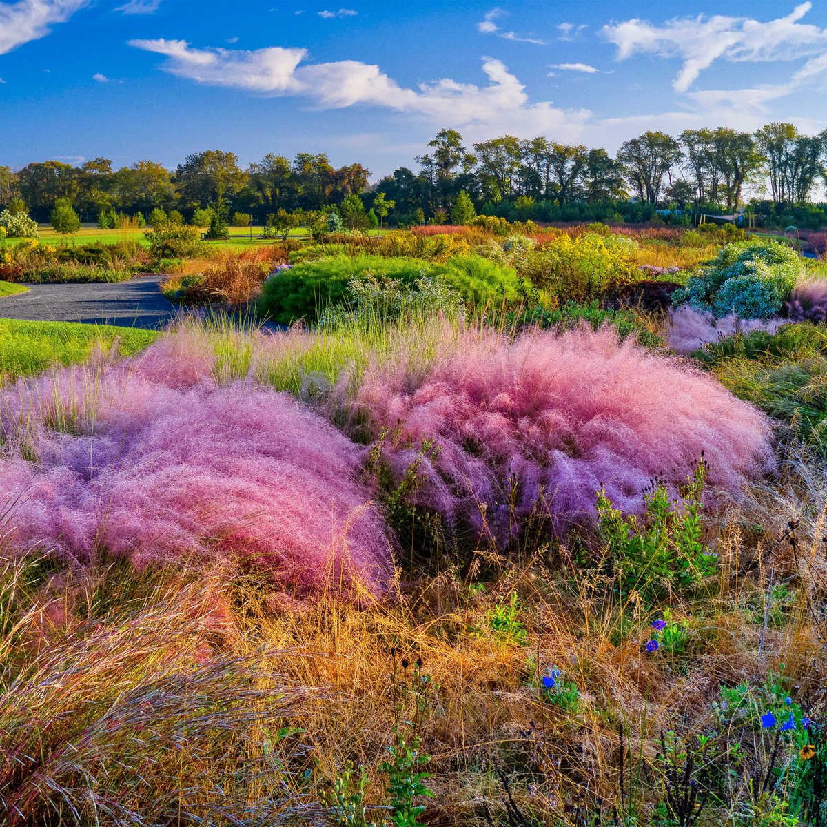 Botanical Gardens Delaware | Fasci Garden