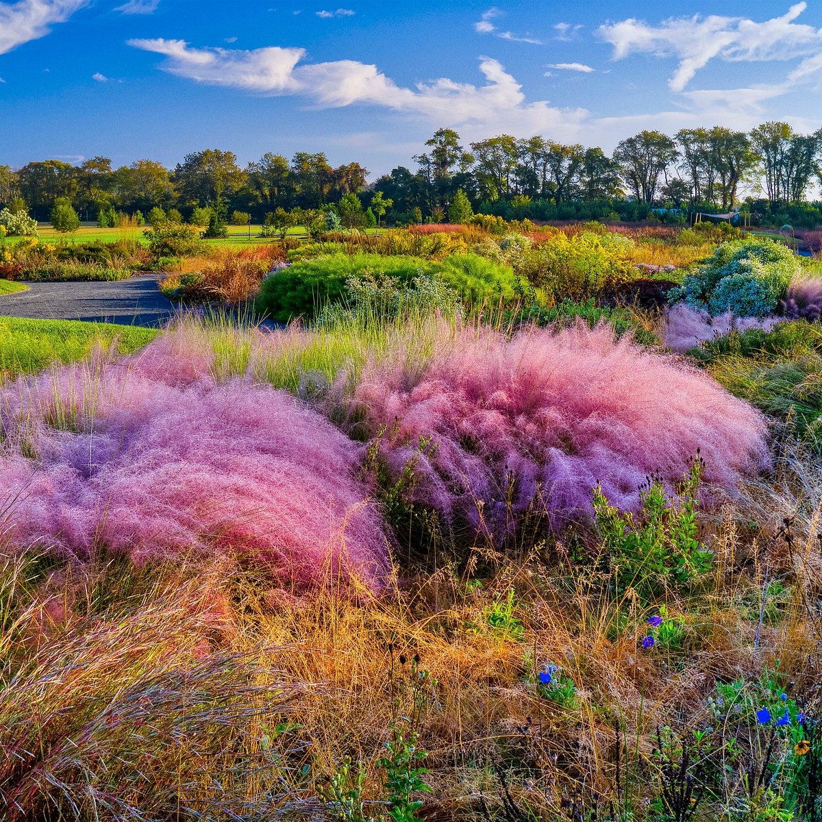 Delaware Botanic Gardens at Pepper Creek: A Floral Paradise