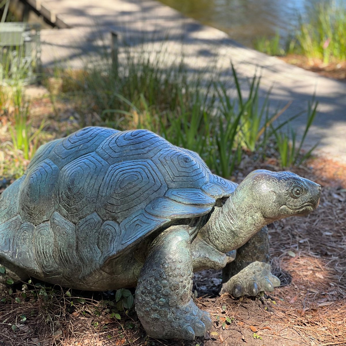 Tortoise Statute In Bronze (New Orleans) - All You Need to Know BEFORE ...