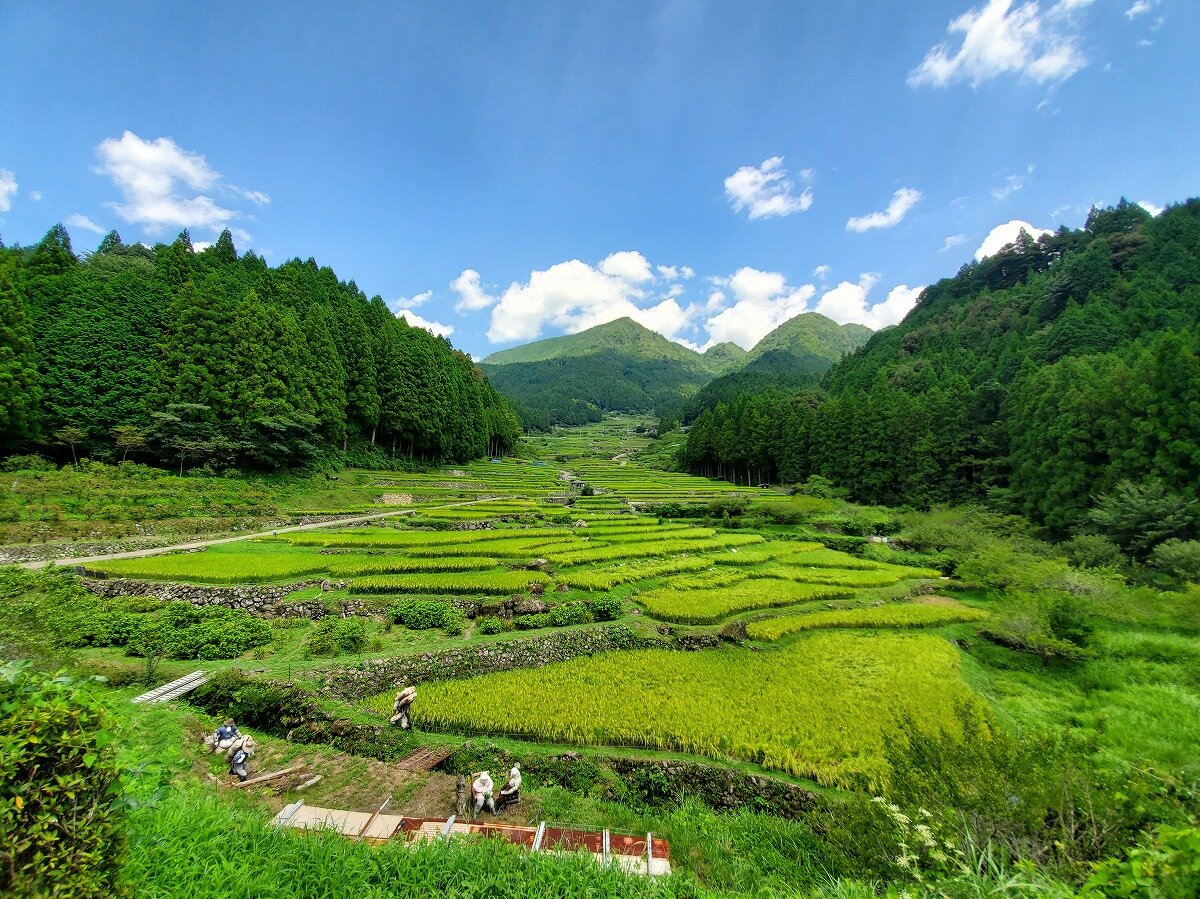 愛知県｜新城市｜四谷｜アート・絶景を巡る秋のフォト旅｜四谷の