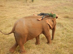 ห้องพักและห้องสวีท