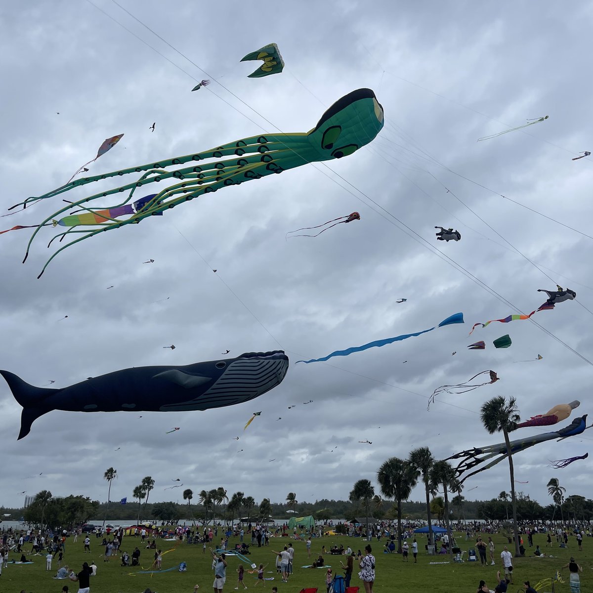 SKYWARD KITES (Miami Beach) Ce qu'il faut savoir pour votre visite