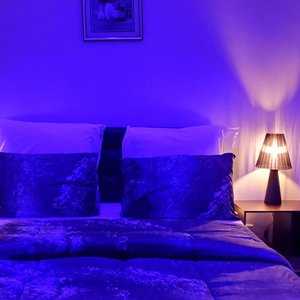 Enjoy the relaxing and luxurious stay with Palm Bliss Lodge 