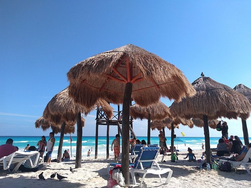 things to do in cancun near hotel zone