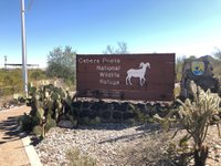 Cabeza Prieta National Wildlife Refuge (Ajo) - All You Need to Know BEFORE  You Go