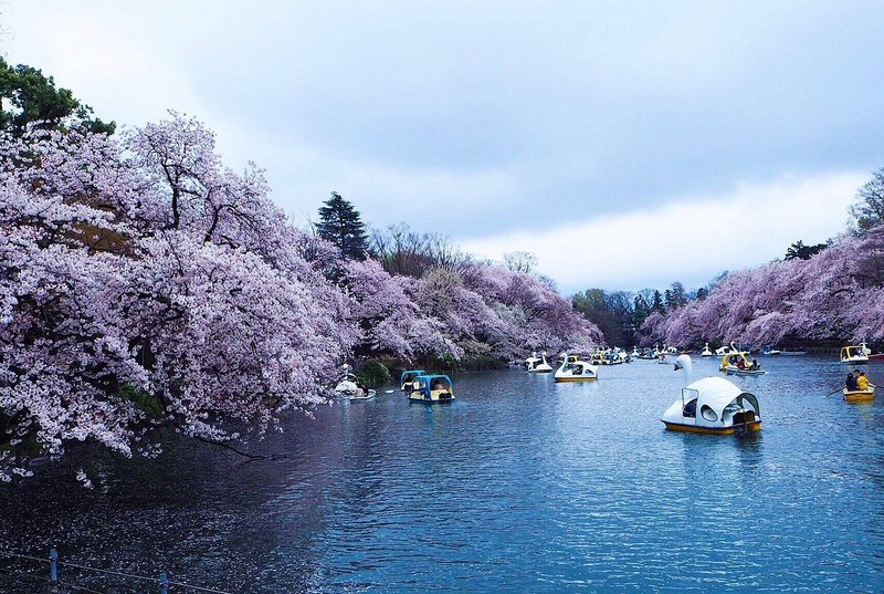 池のボートに乗る観客