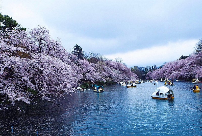 池のボートに乗る観客