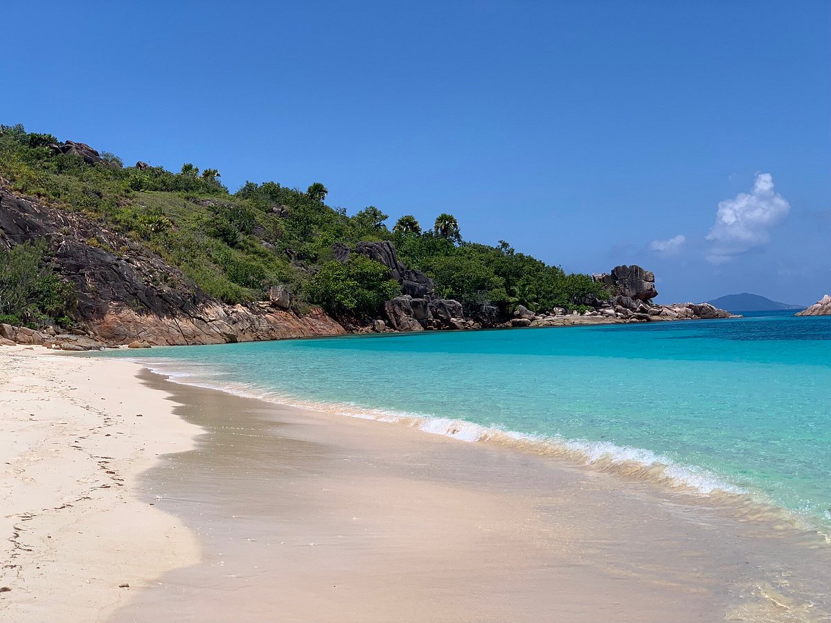 Octopus Diving Center (Praslin Island) All You Need to Know BEFORE You Go