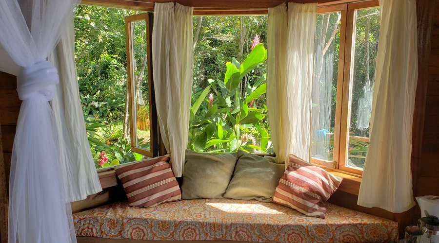 Our Bay window seat looking out in the natural  garden. 