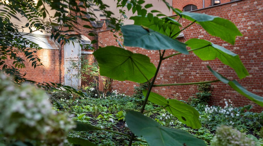 Garten