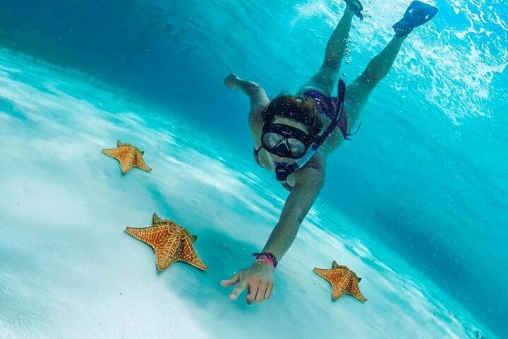 2023 The Best Cozumel Snorkeling Tour Palancar, Colombia and El Cielo Reefs