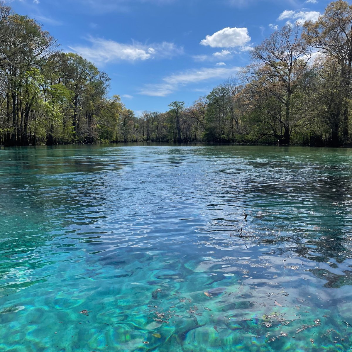 CYPRESS SPRINGS ADVENTURES (Vernon): Ce qu'il faut savoir pour votre ...