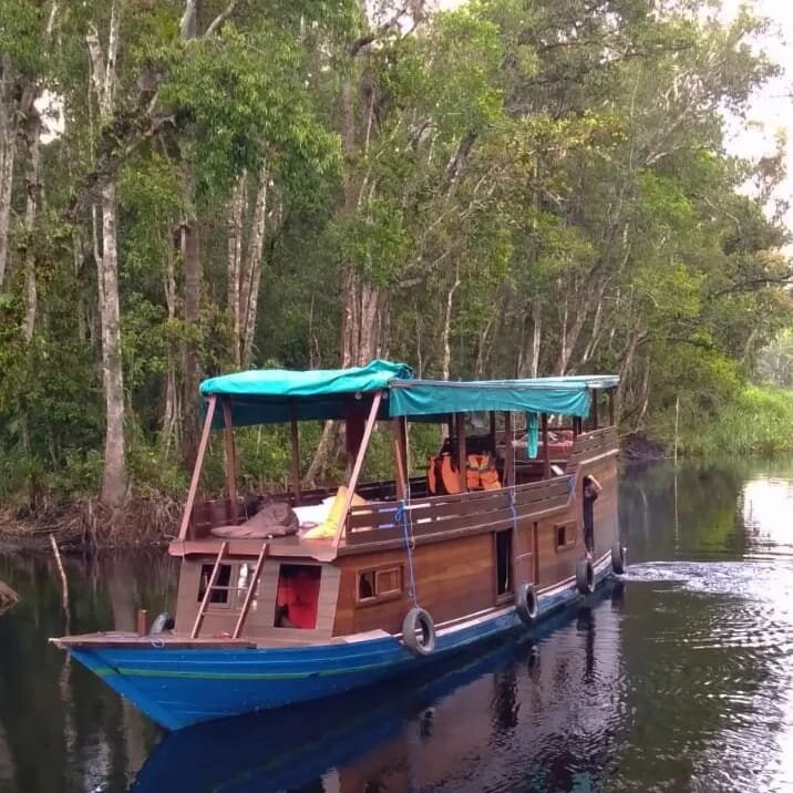 Orangutan Tour - Varada Borneo (Pangkalan Bun) - 2022 Alles Wat U Moet ...