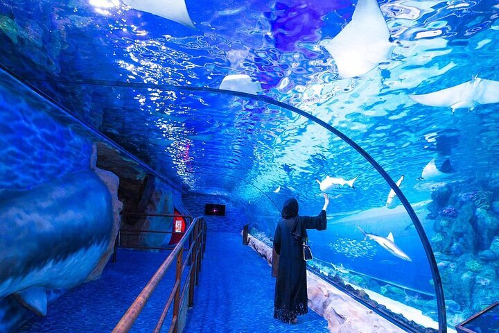 2023 VIP Experience Dubai Aquarium & Underwater Zoo-As per Selection