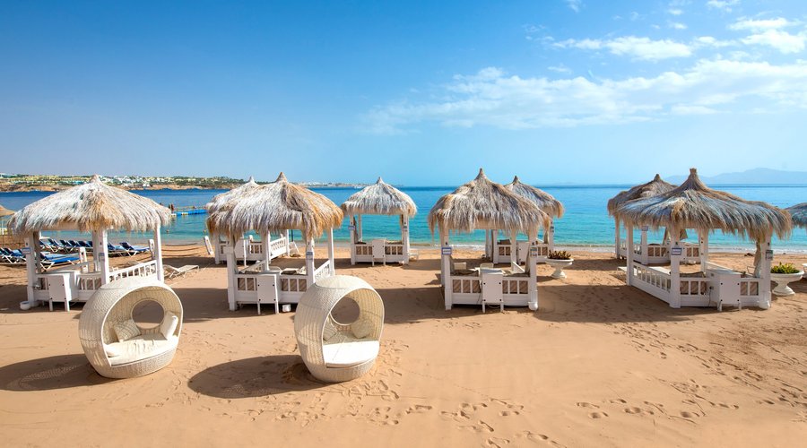 Beach Overview