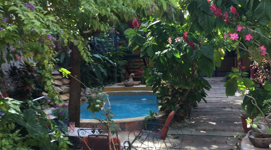 Partial view of the garden