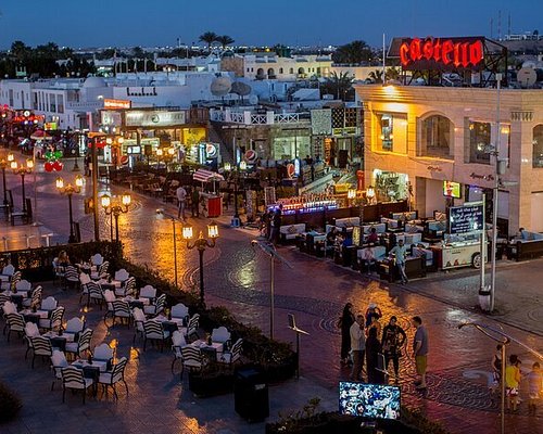 excursions in sharm
