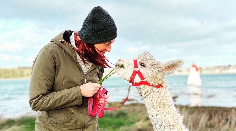Eating greens beside the lough