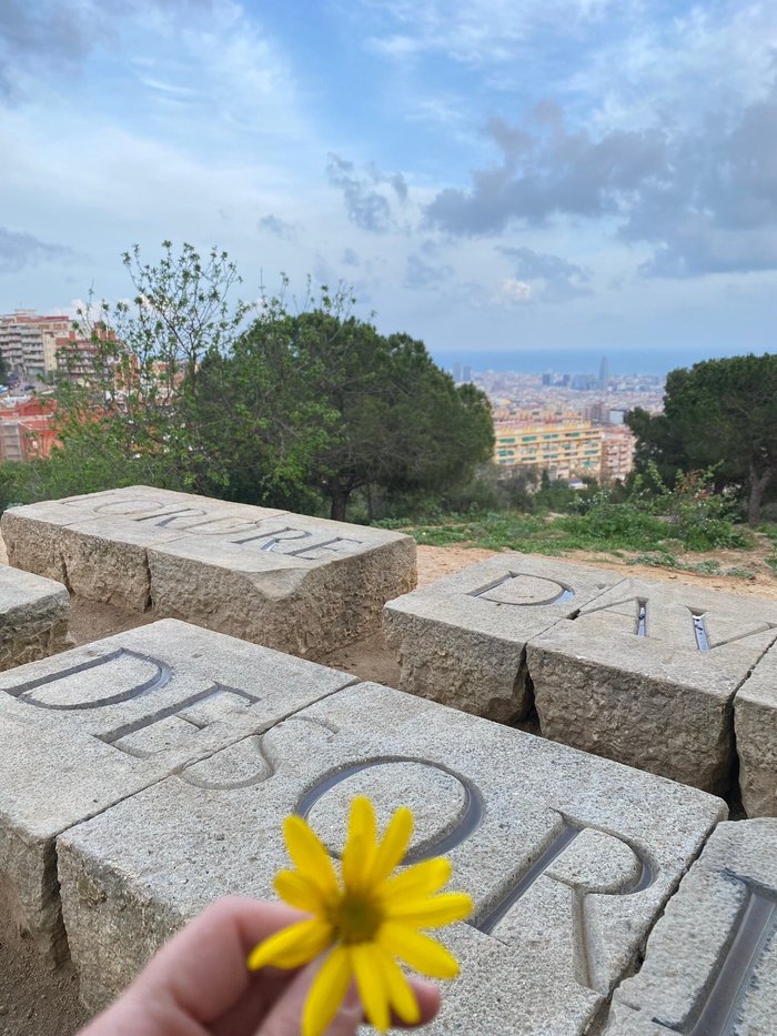 Imagen 5 de Jardines del Turo del Putxet