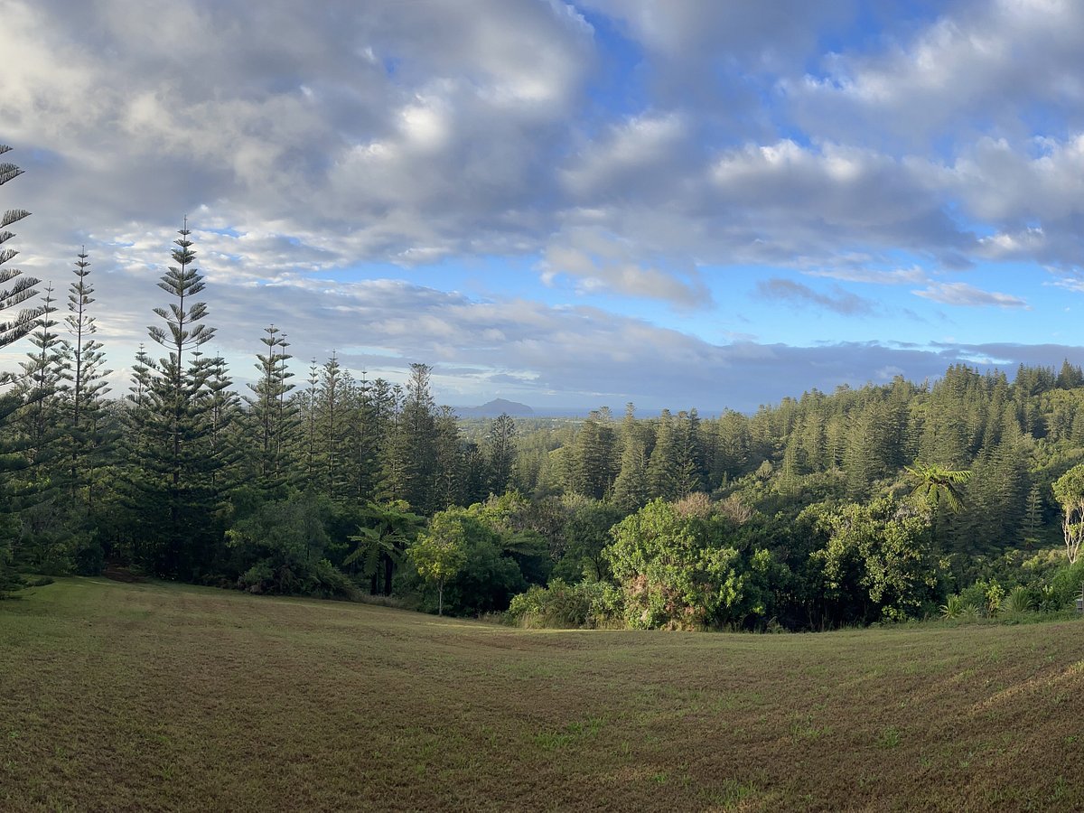 pinetree tours norfolk island