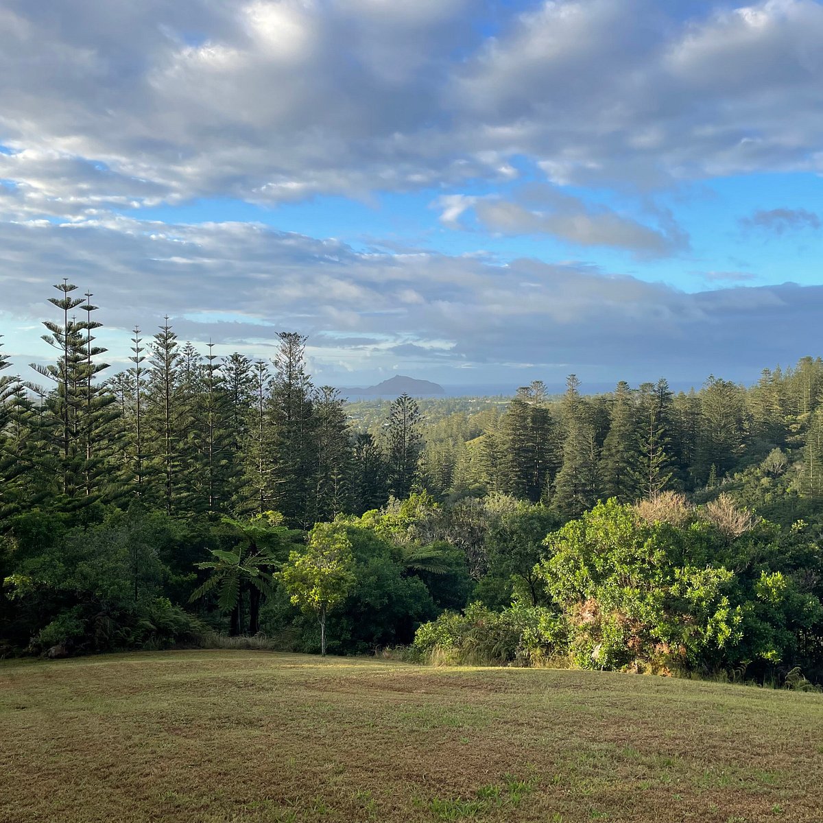 pinetree tours norfolk island