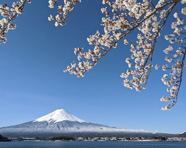 HAKONE KOWAKIEN YUNESSUN (Hakone-machi) - All You Need to Know BEFORE ...