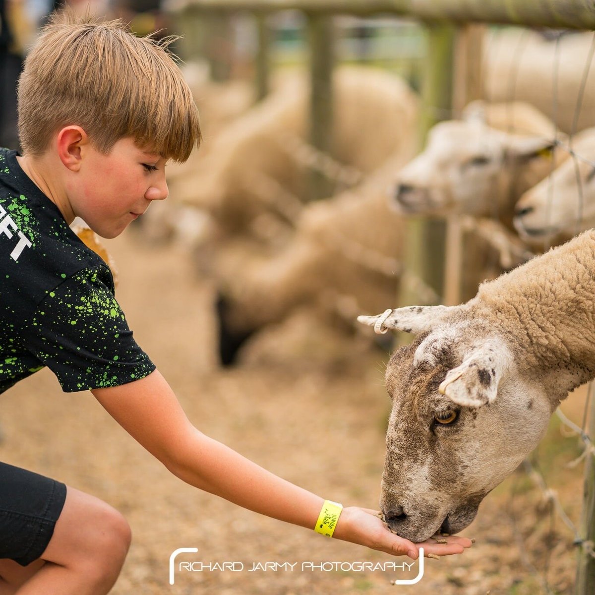 Wroxham Barns, Hoveton: лучшие советы перед посещением - Tripadvisor