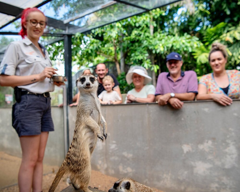 LES 10 MEILLEURES choses à faire à Darwin 2024 (avec photos)