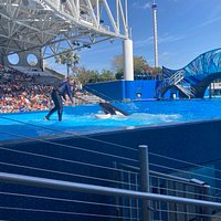 SeaWorld (Orlando) - All You Need to Know BEFORE You Go