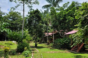 Sportfishing page for Otorongo  River Lodge, a resource for fishing  outfitters in the  Region of Iquitos, Peru - Otorongo Expeditions   River Lodge