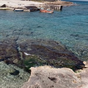 C’è un leggero Grecale …. 