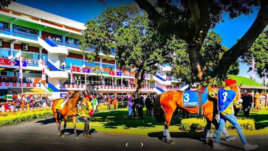 Racehorses prepare for the next race.