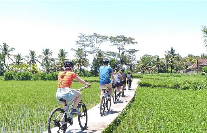 Bali Njoey Bike Tour image
