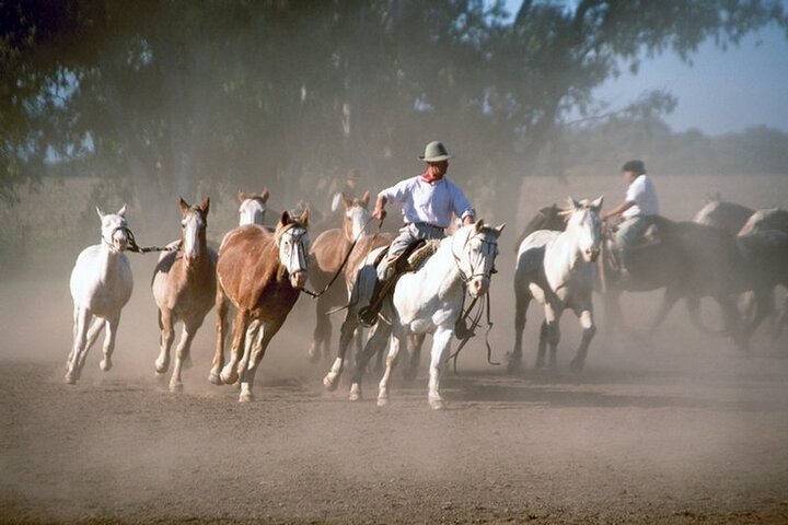 2023 Full day Fiesta Gaucha (from BUENOS AIRES)