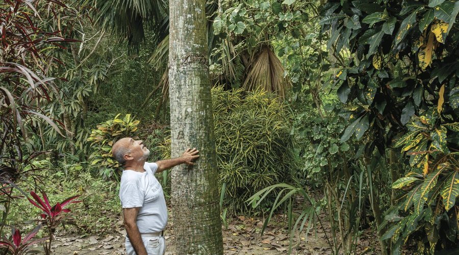 We care for Nature
