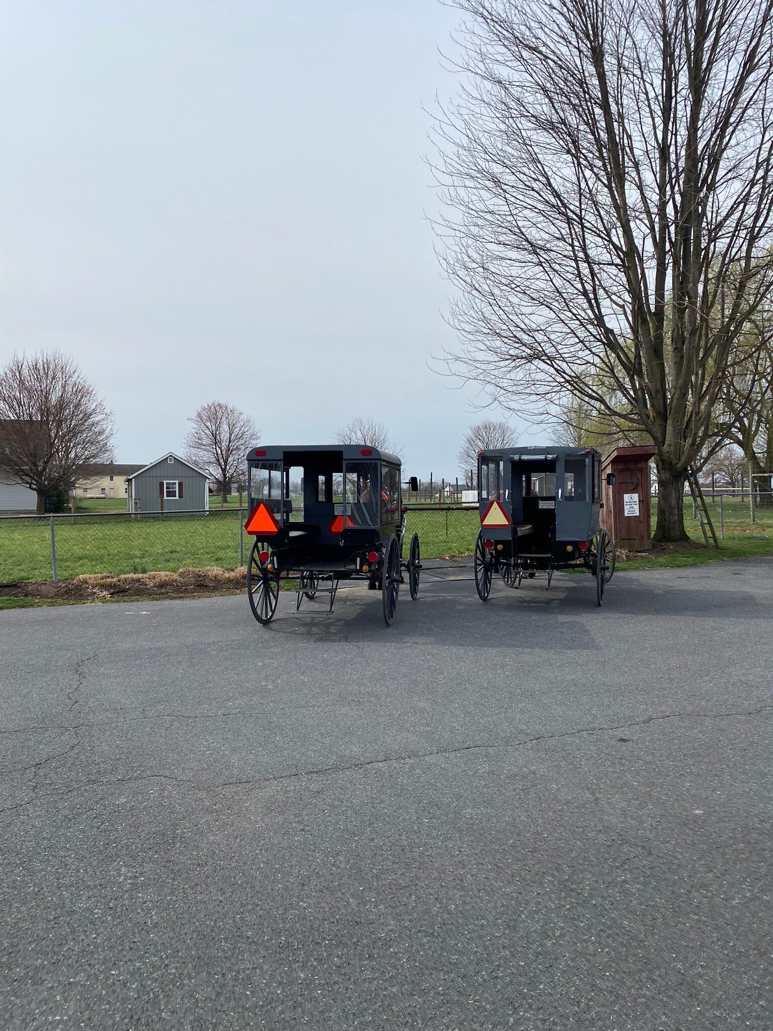 abe's horse and buggy rides