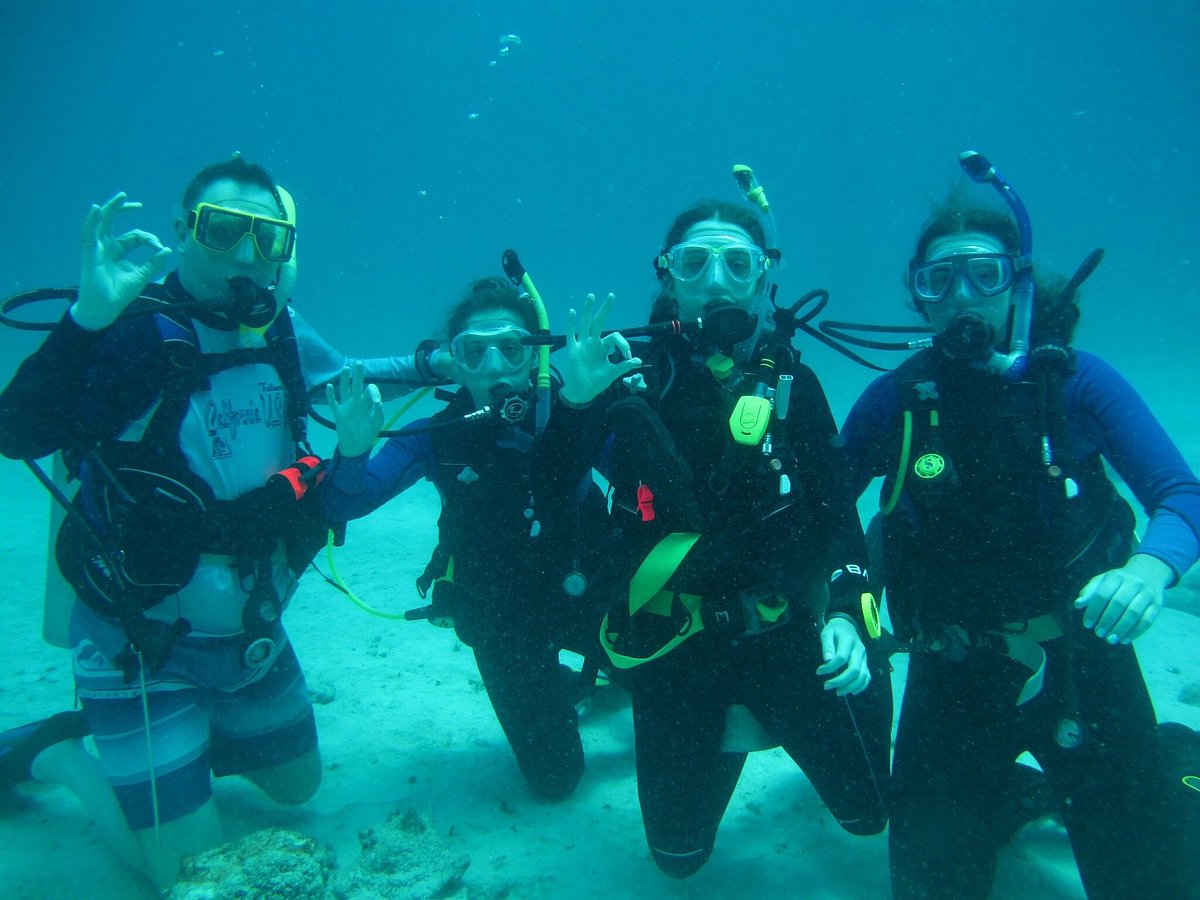 Aquanauts Dive Shop Puerto Aventuras All You Need To Know Before You Go Aquanauts Dive Shop Puerto Aventuras All You Need To Know Before You Go
