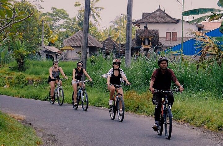 Bali Njoey Bike Tour image