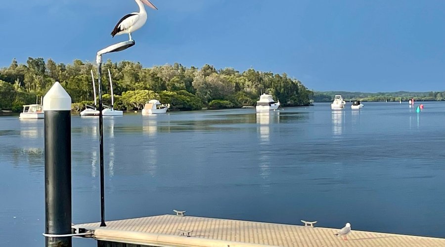 The Myall River is a wide waterway that is popular for boating, paddle boarding, kayaking and fishing. Tourists visiting the holiday towns of Tea Gardens and Hawks Nest can easily explore its mangrove-lined banks, small bays, islands, sandbanks and mudflats. 