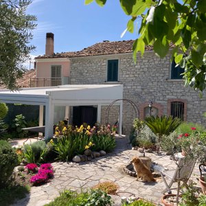 View from garden 