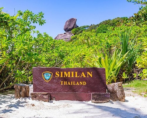 similan island private tour