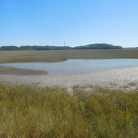 Pinckney Island National Wildlife Refuge - All You Need to Know BEFORE ...