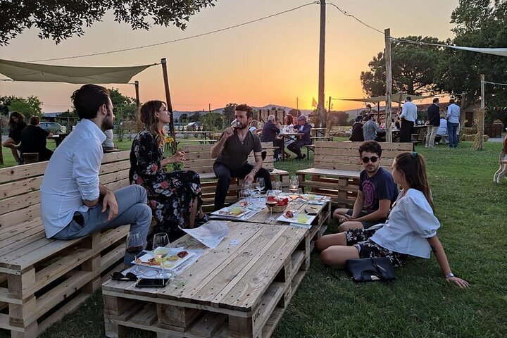 I MIGLIORI 10 Tour dei vini e degustazioni in Provincia di Arezzo