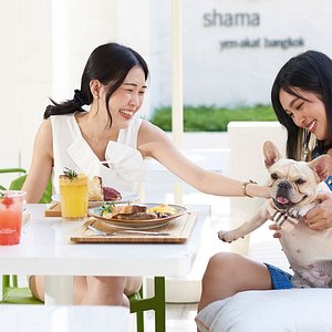 Brunch Paradiso pet-friendly restaurant at Shama Yen-Akat Bangkok