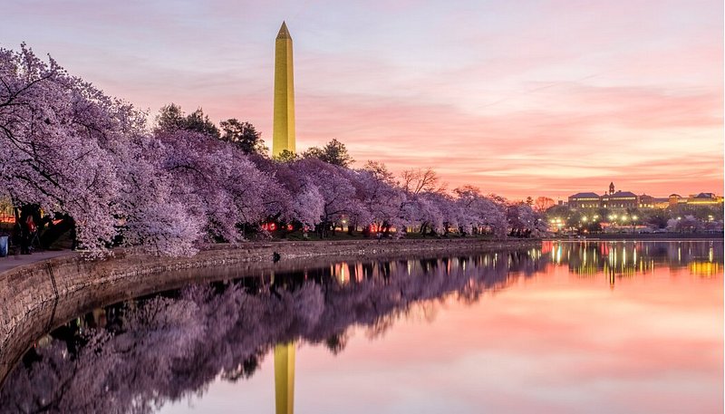 13 best places to see cherry blossoms in 2023 - Tripadvisor