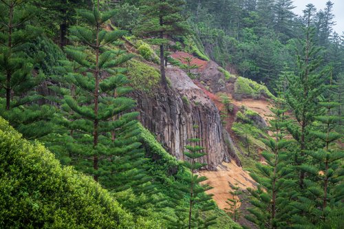 Norfolk Island review images