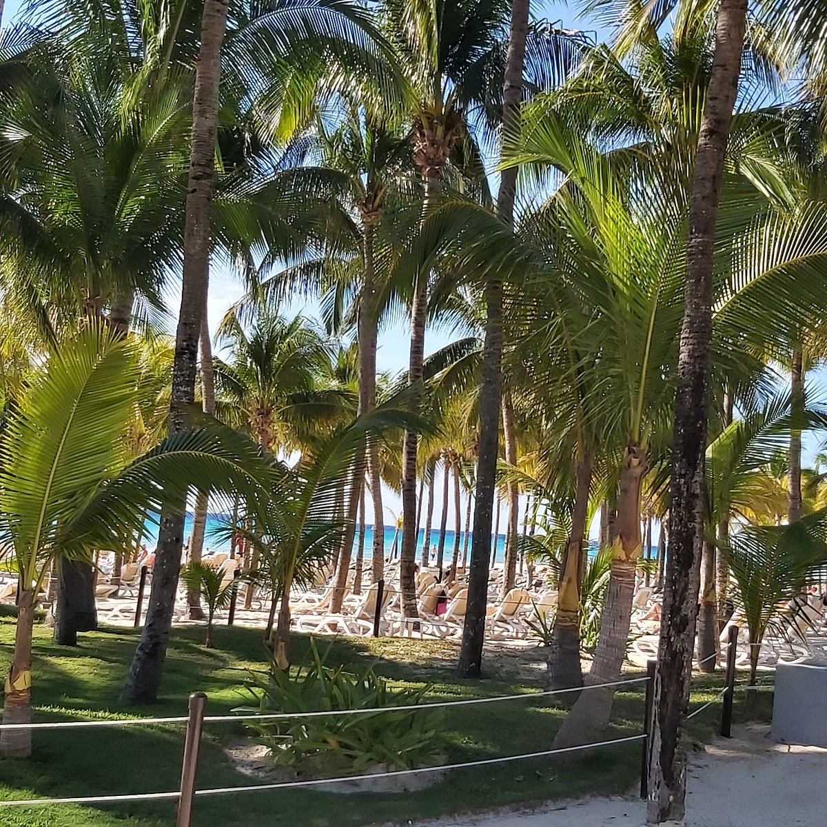 PLAYAS RIU (Playacar) - All You Need to Know BEFORE You Go