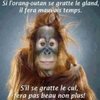 @Richard &Philippe€